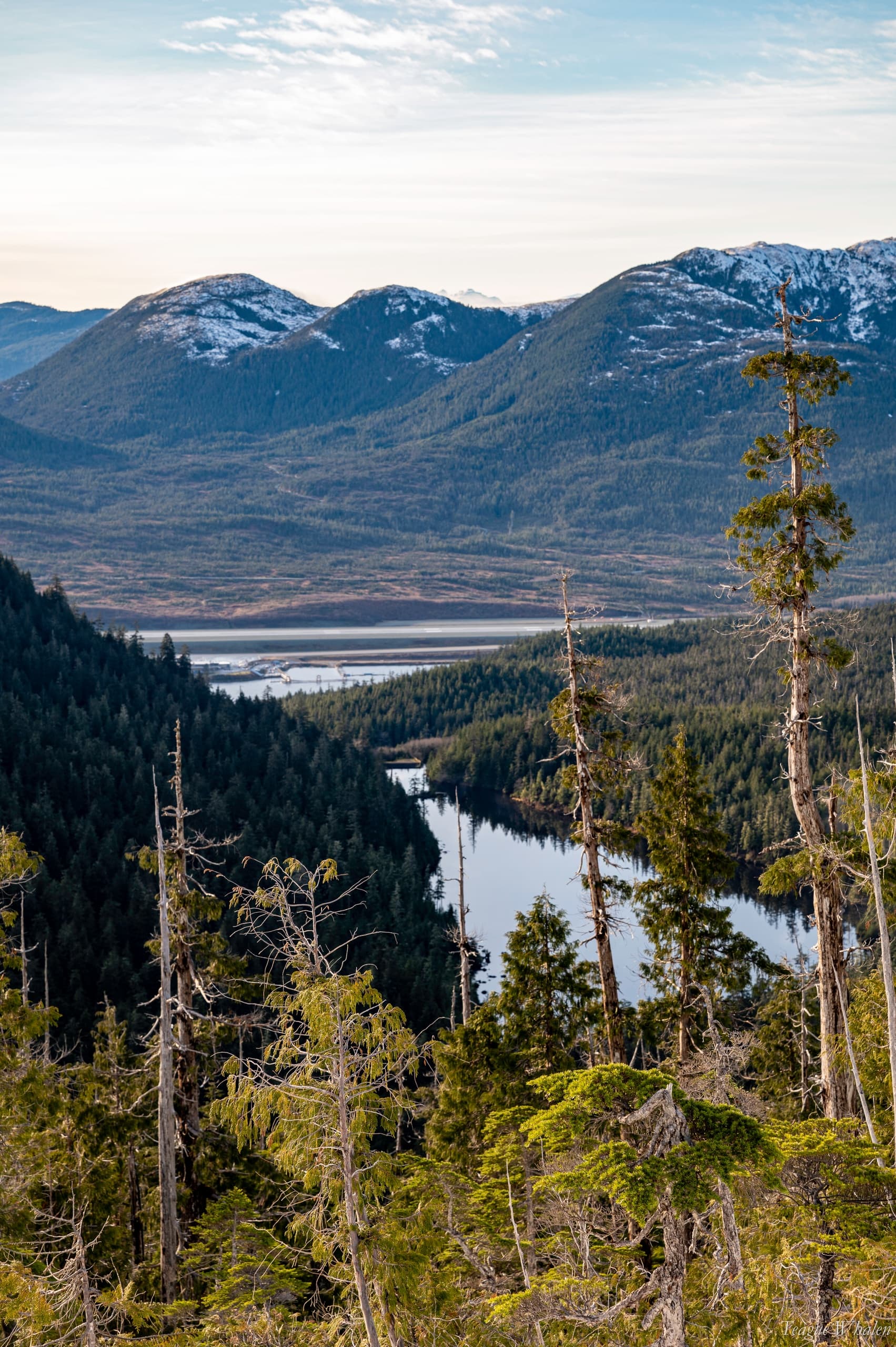 Alpine Overlook Adventure Trek