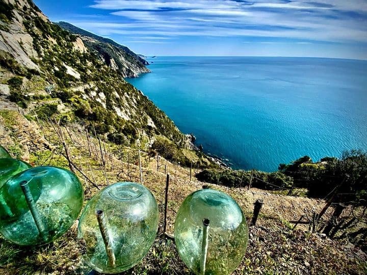 The “vertical” vineyards tour in Riomaggiore, with TripleA wines tasting