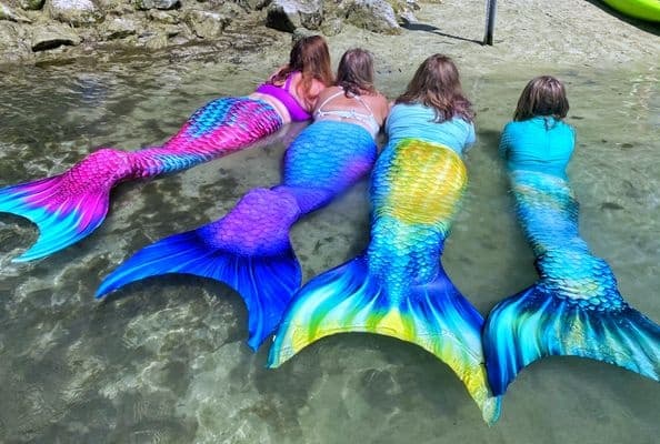 Discover Mermaid