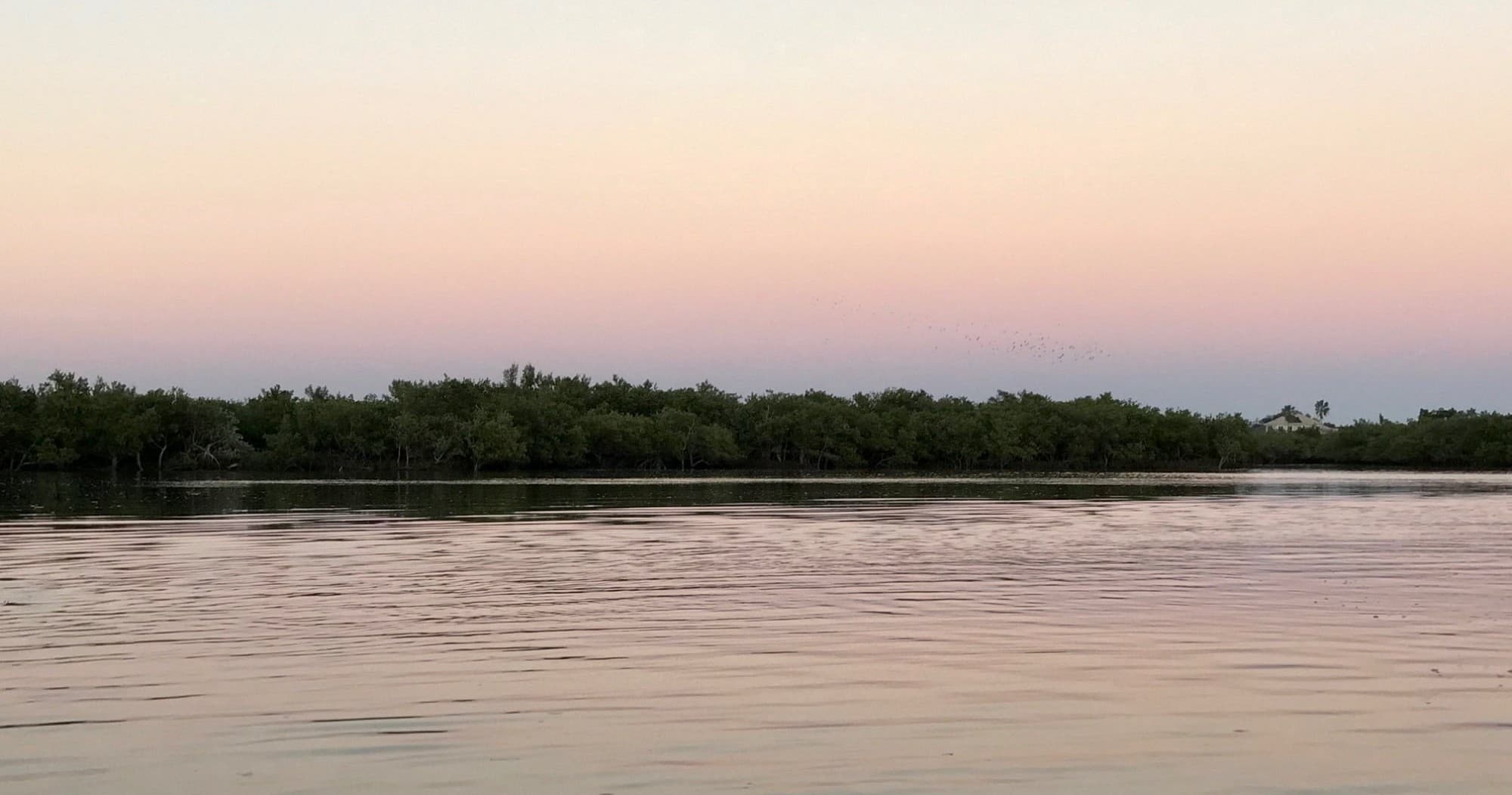 Sunset Eco Cruise