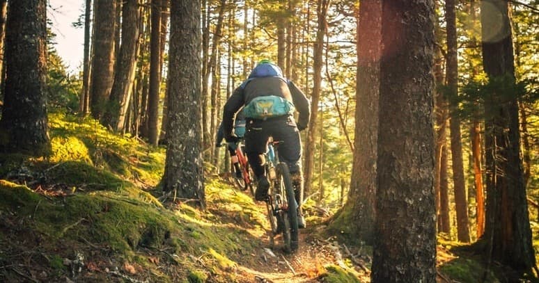 Dag - Mountainbike Huren Hilversum
