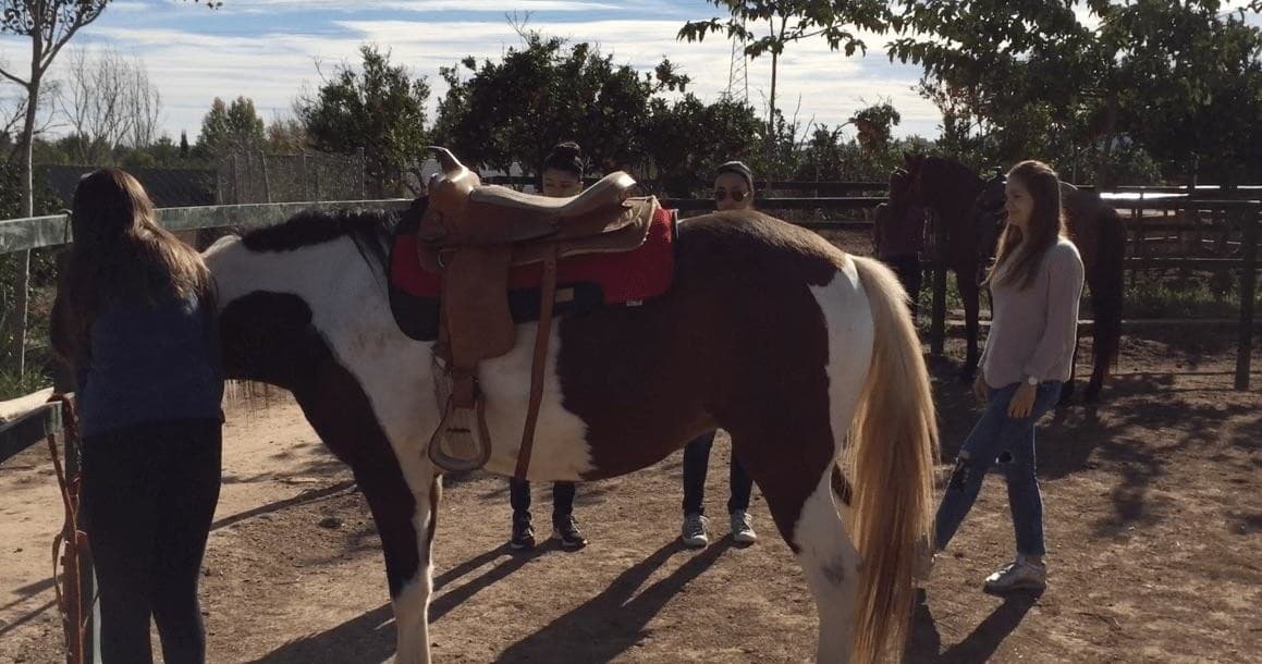 Rutas a Caballo