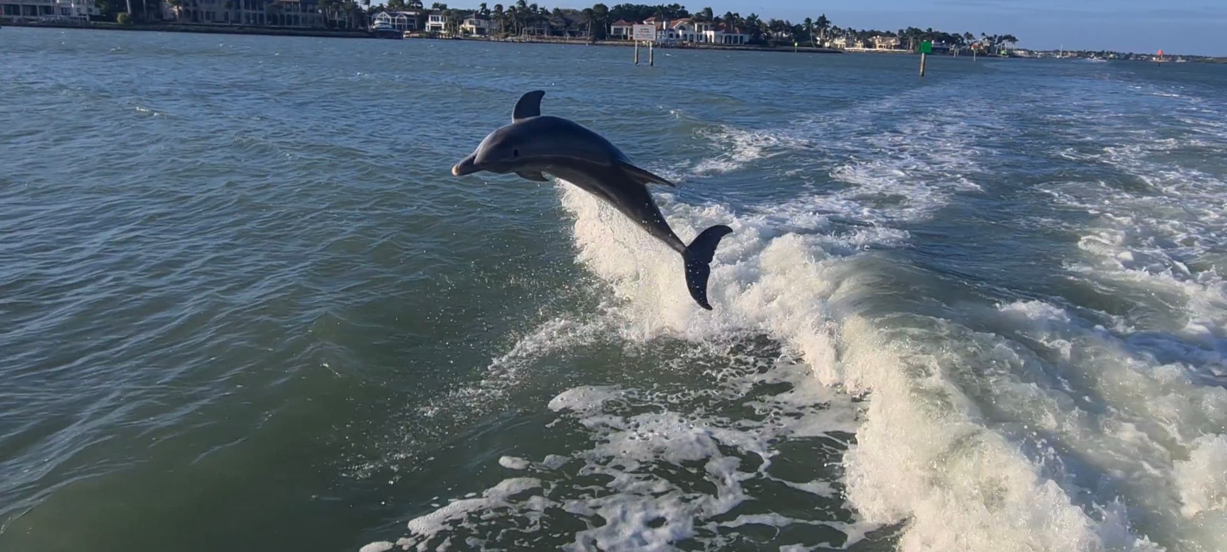 Naples Bay and Port Royal Daily Cruise