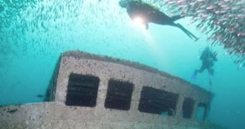Two Dive - New Venture