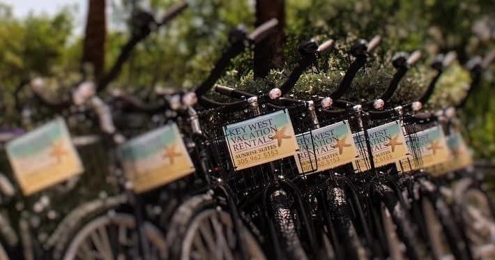 Kids Bike - Daily Rentals