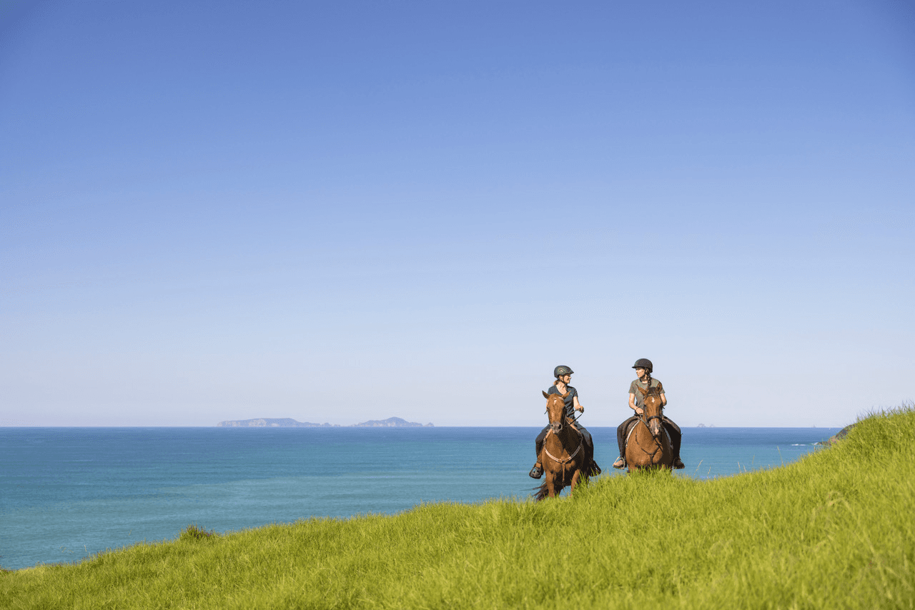 Ocean Panorama to Beach Private Ride