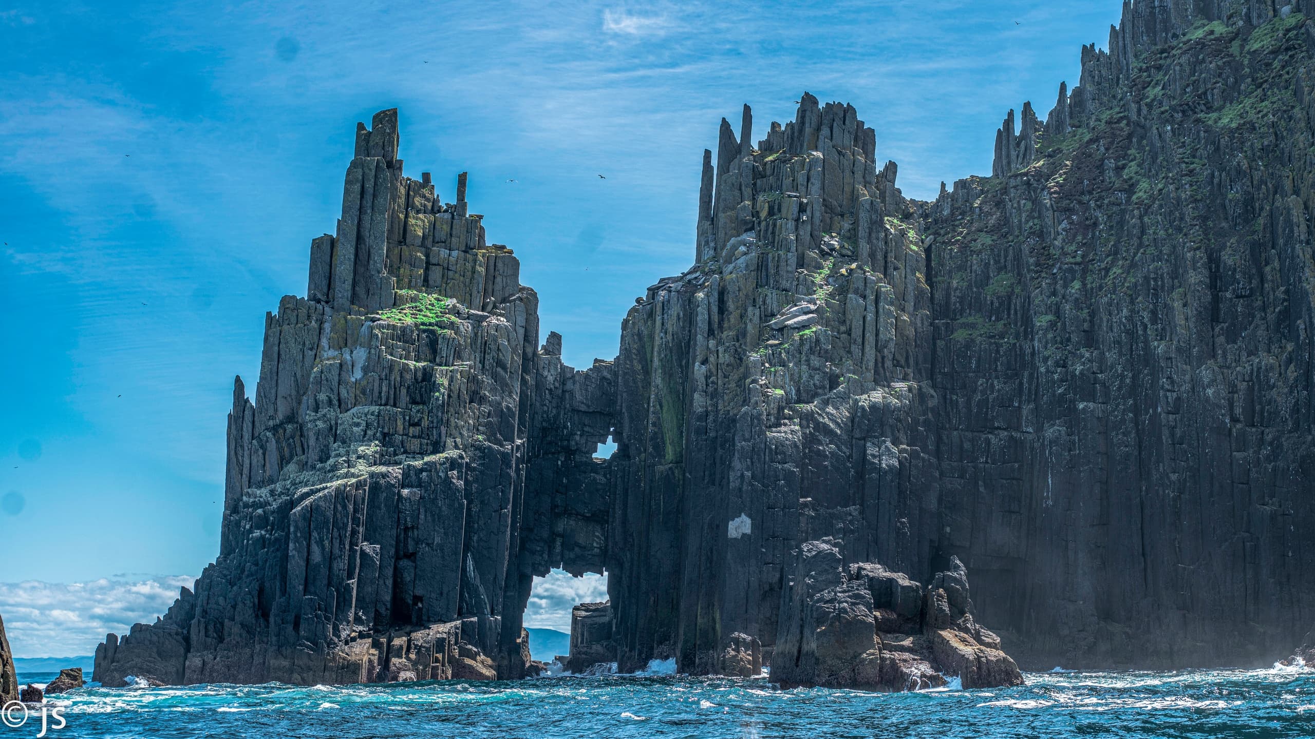 Blasket Islands Sea Life Tour