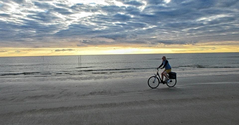 Bike Rental