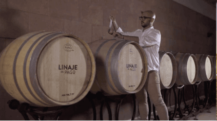 Descubre canarias a través de nuestros vinos