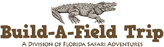 Build-A-Field Trip