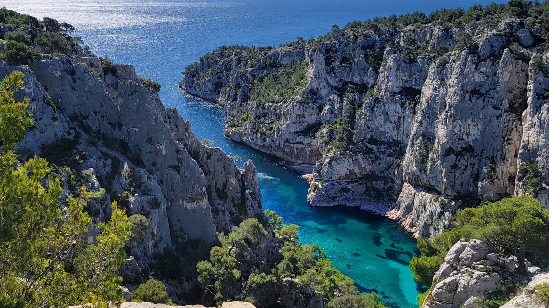 Excursion Après Midi