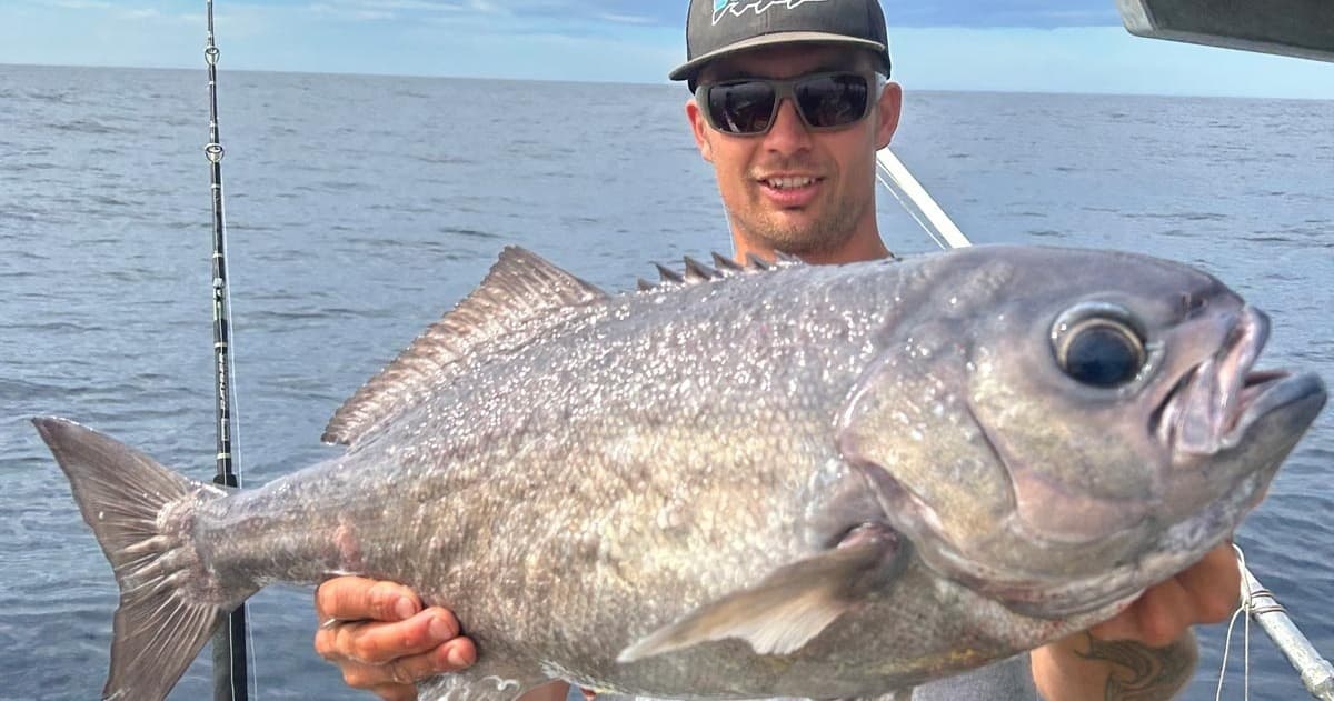 Seven Hour Grouper/Bluenose Trip