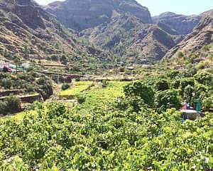 Visita guiada a la Finca La Laja de Agaete
