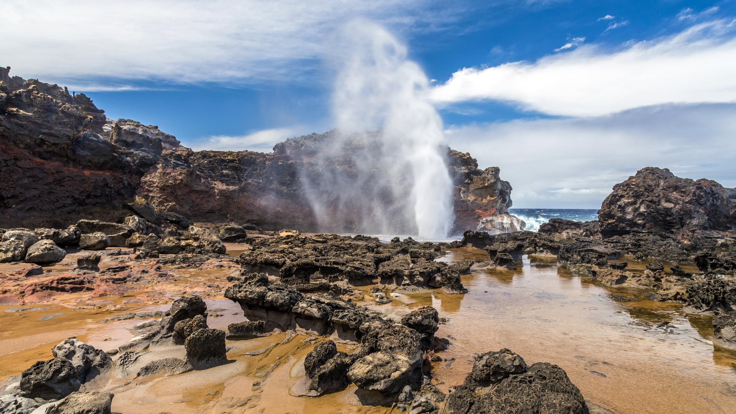 West Maui Adventure (ʻIao Valley Option)