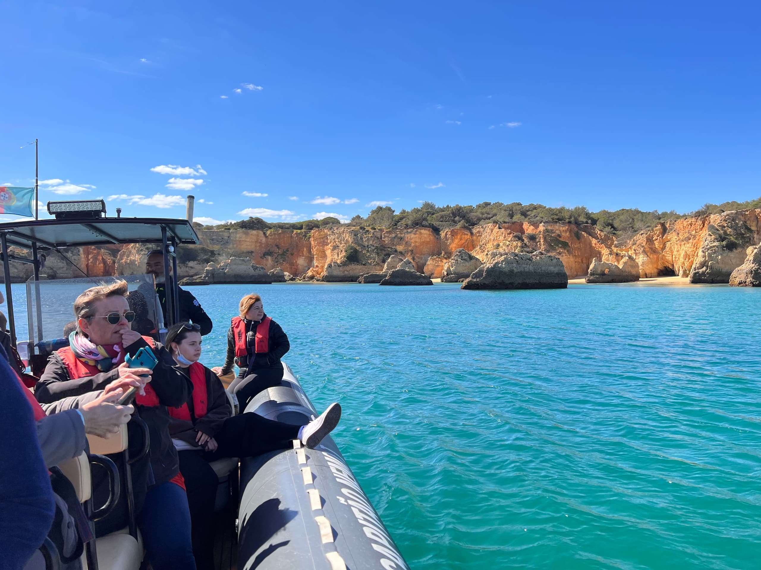 NEW🤩 Dolphins & Ponta da Piedade