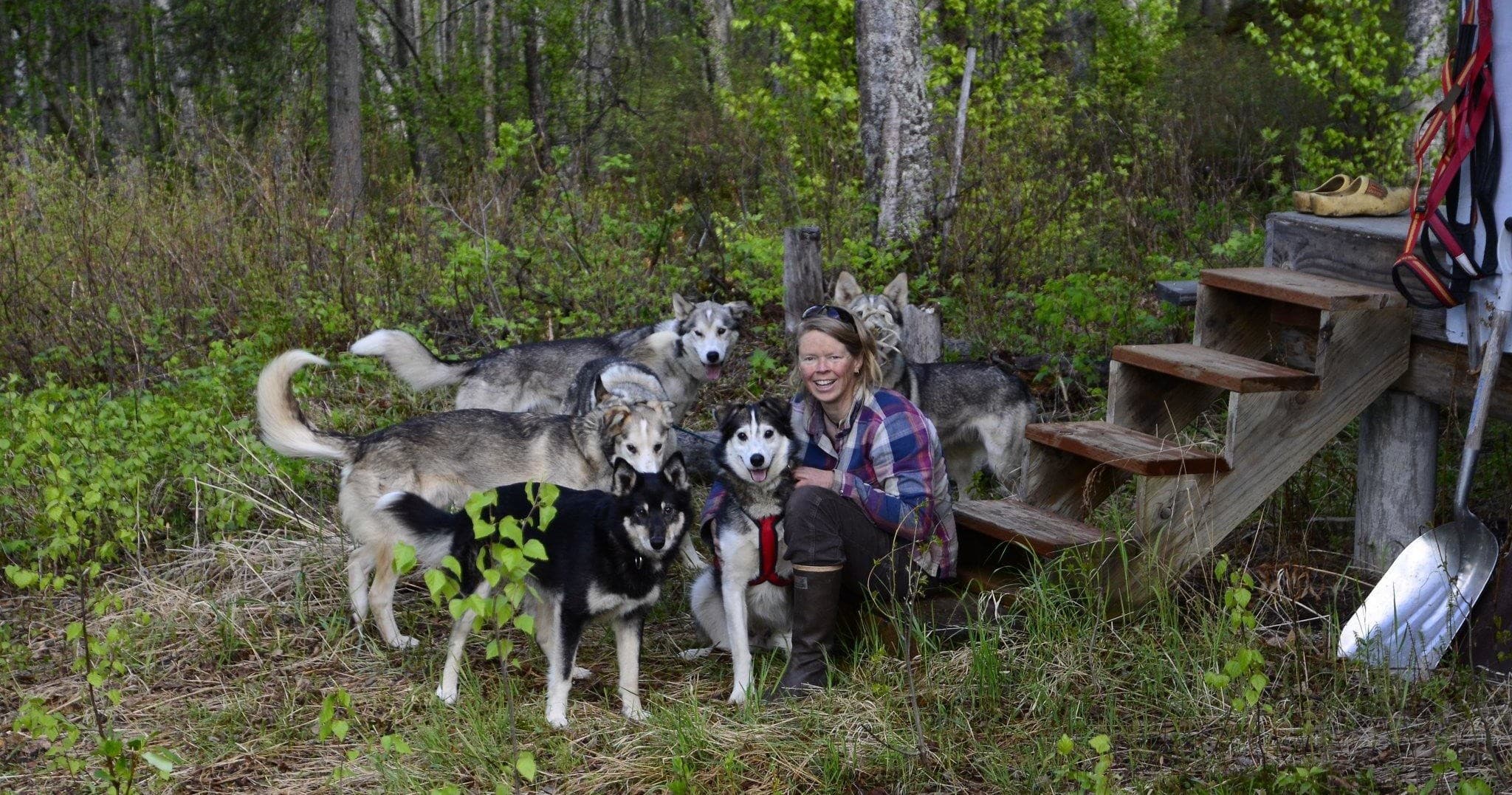 Flower Homestead and Kennel Tour