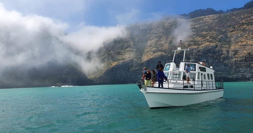 Scenic Wildlife Cruise