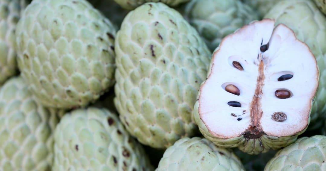 Annona Farm Experience