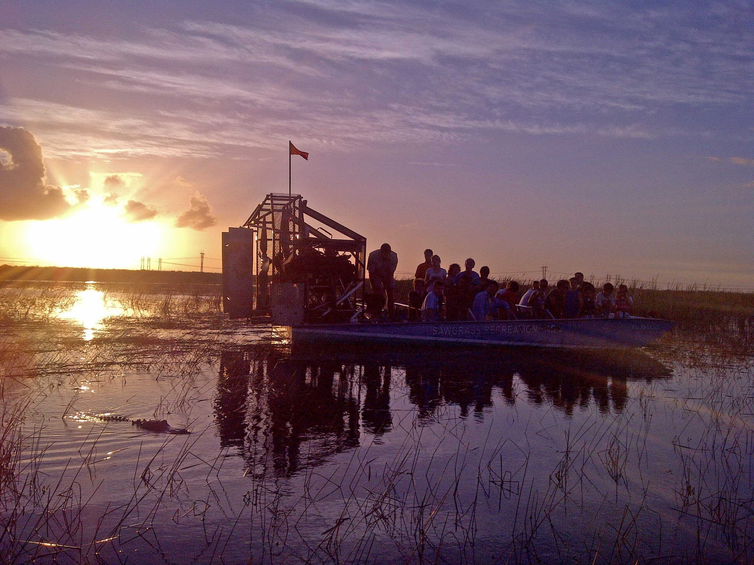 Gator Night Airboat Tour