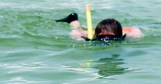 Snorkeling