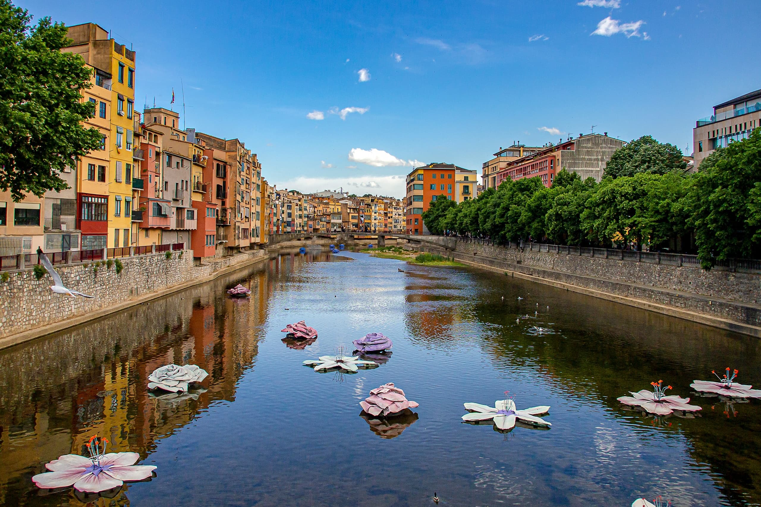 Transfer a Girona