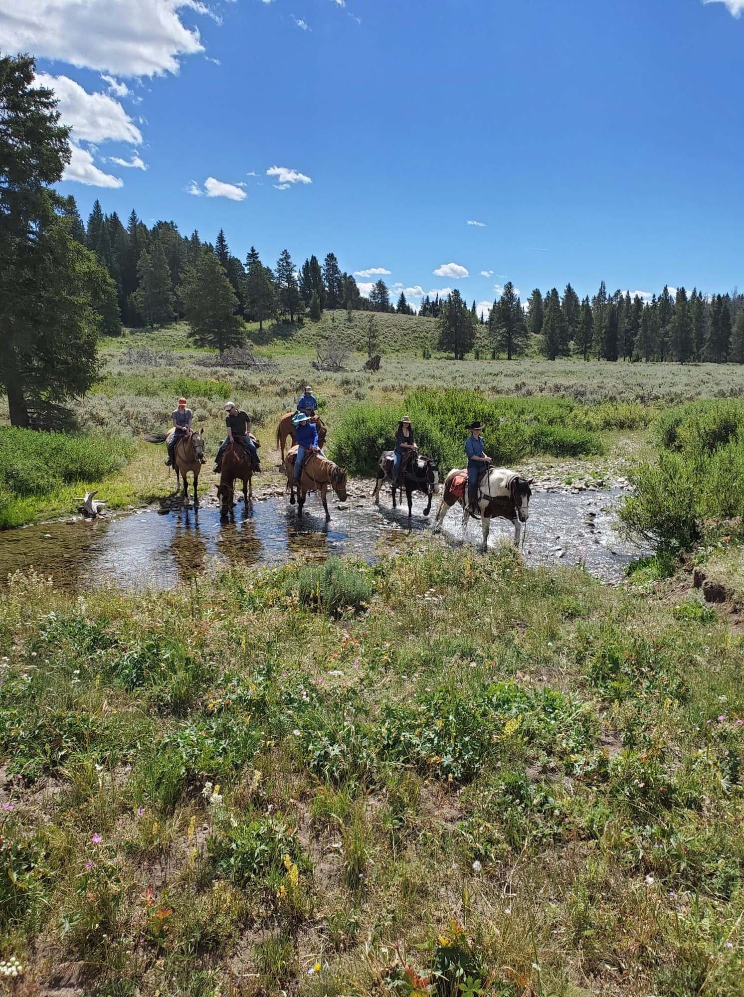 Private Horseback Riding • Full Day