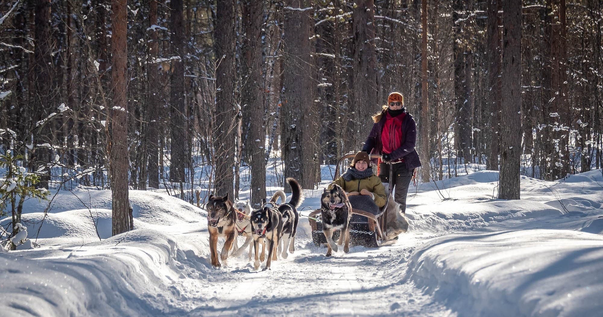 Speed and Relaxation - Reindeer and Husky Safari Taster