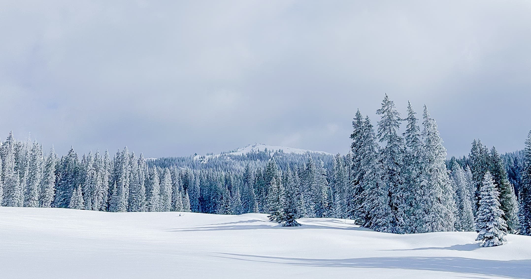 Three Hour Guided Scenic Snowmobile Tour