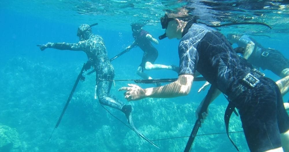 Group Dive - Intro to Spearfishing & Freediving