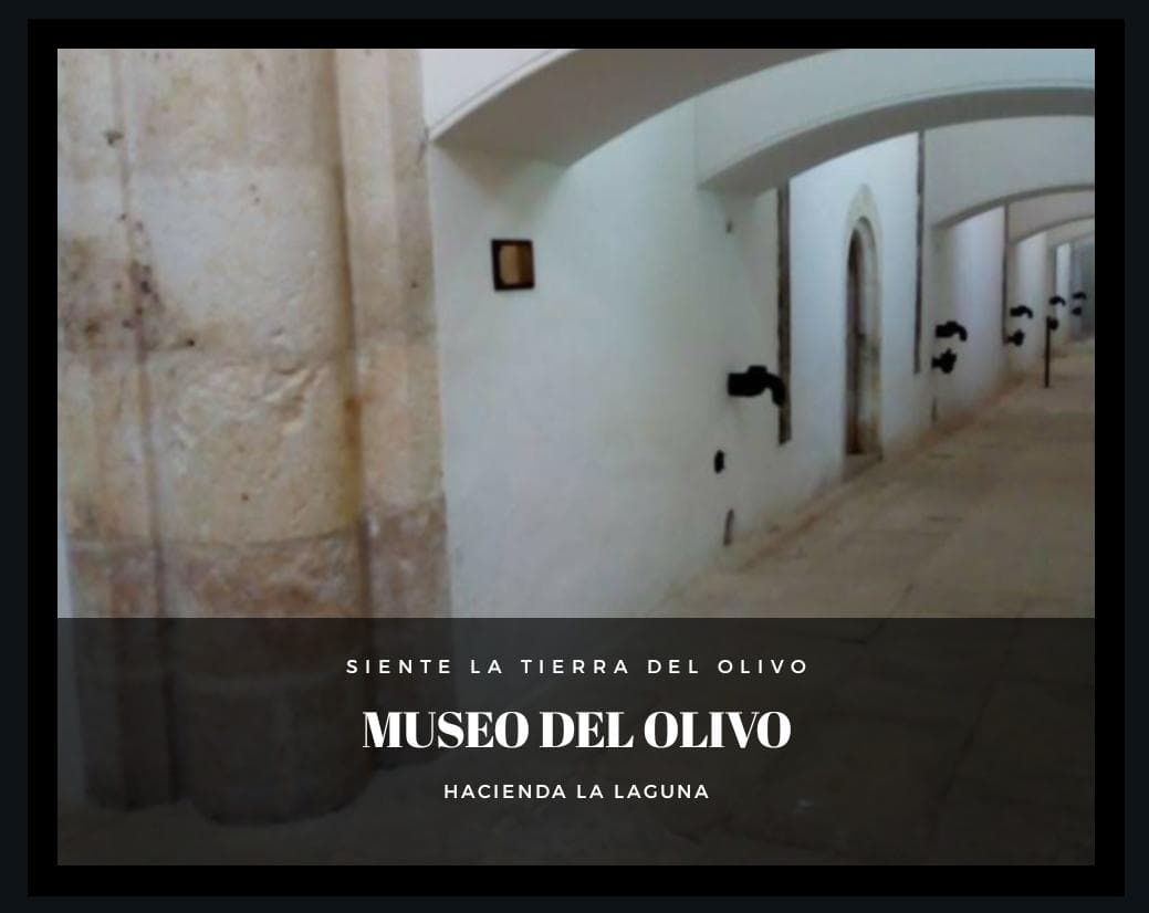 Entrada Museo de la Cultura del Olivo