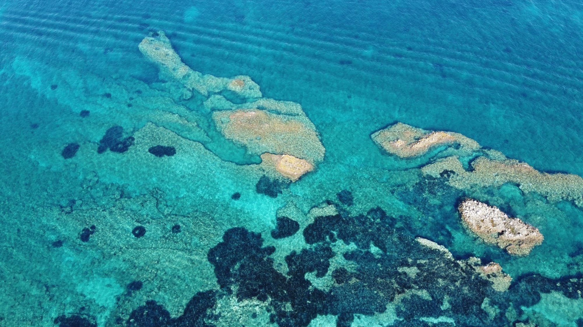 In barca tra il mare e le spiagge più belle! Capo Vaticano - Tropea - Briatico