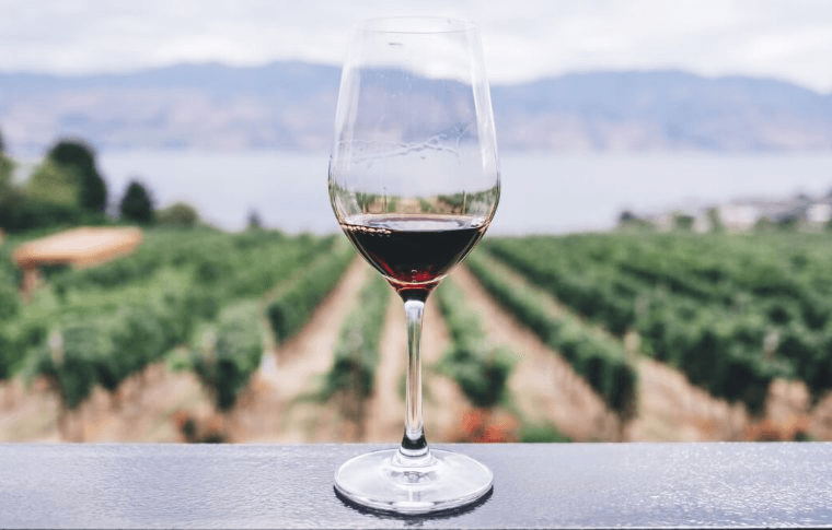 Exclusive Wine Tour