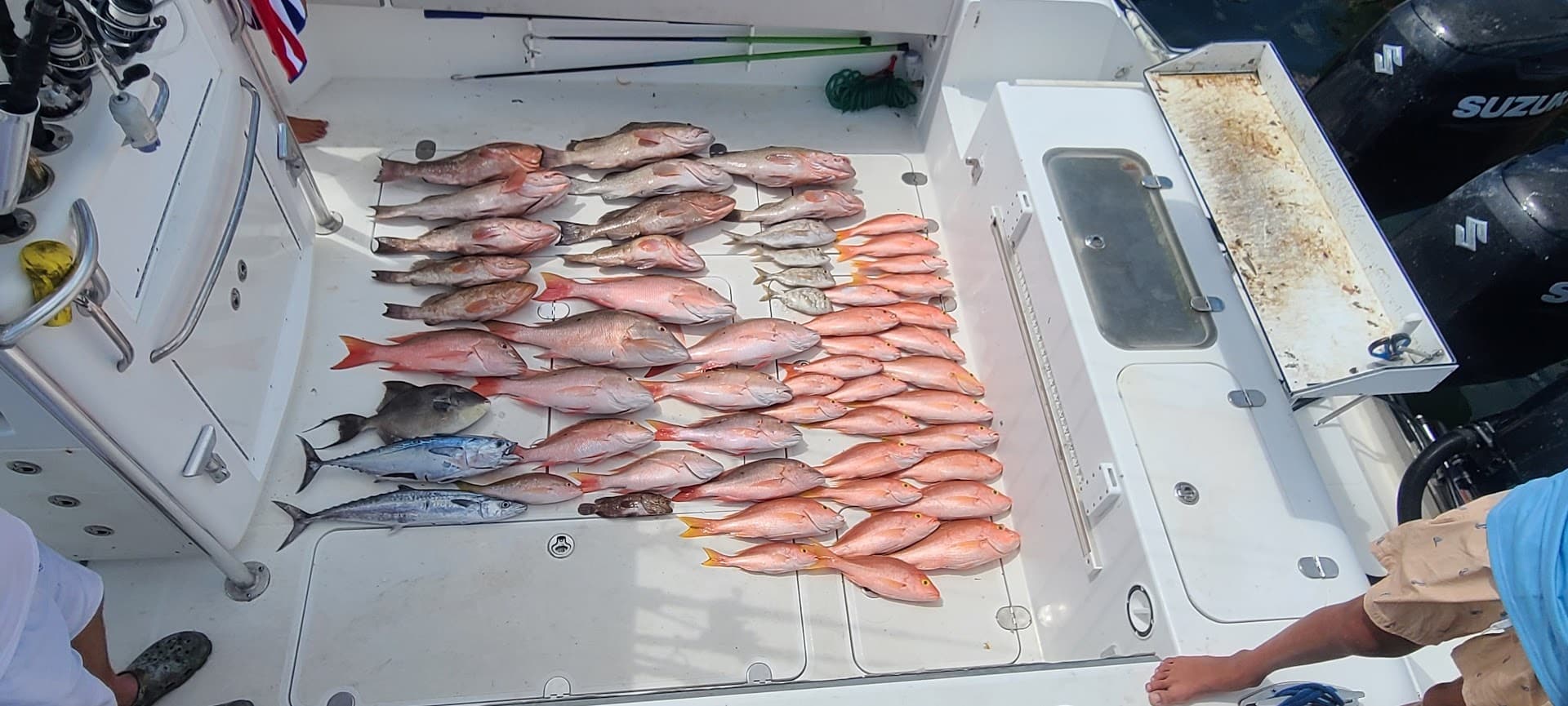 Dry Tortugas Fishing, Nauti Tuna