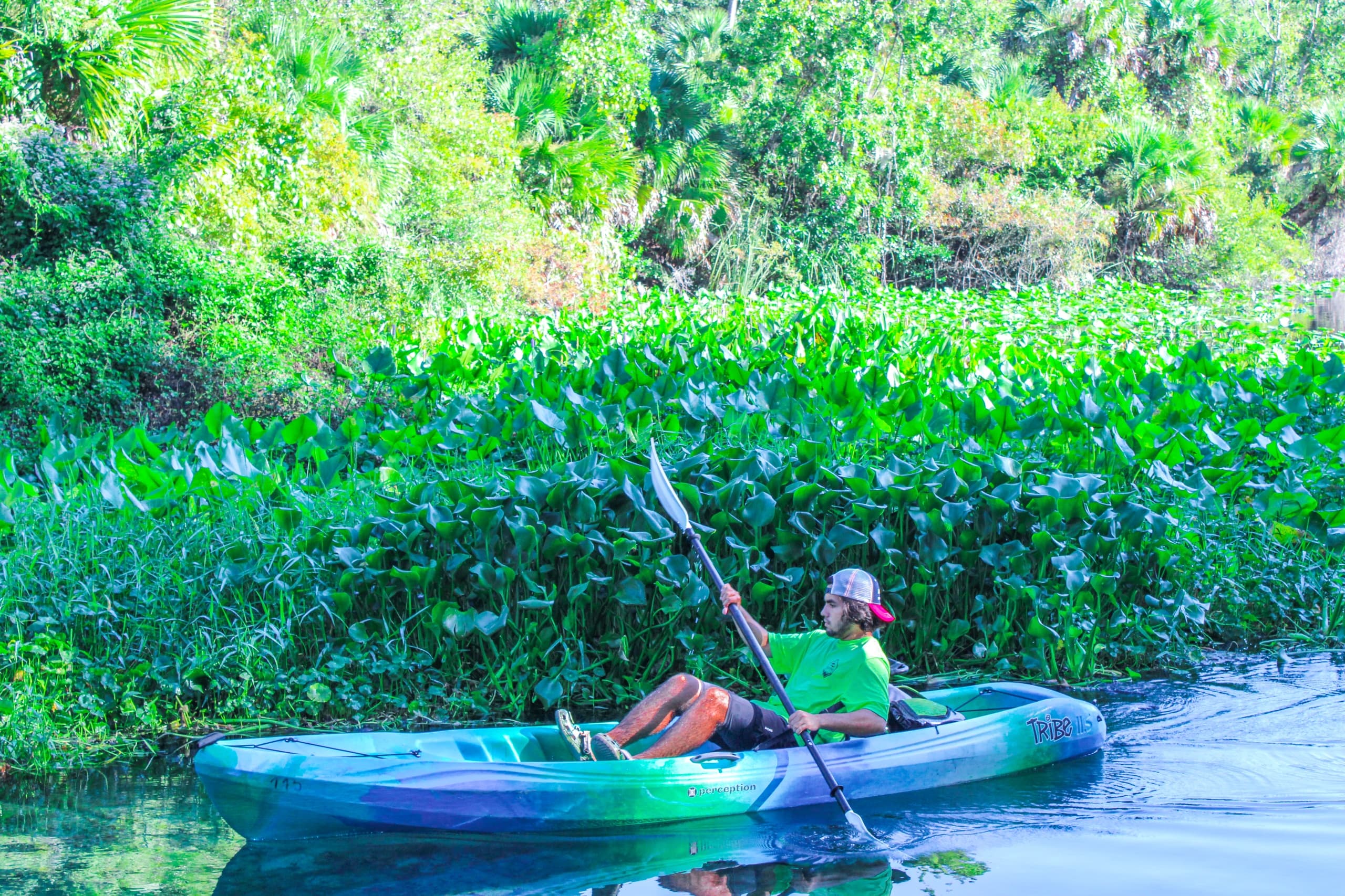 Single Kayak Rental