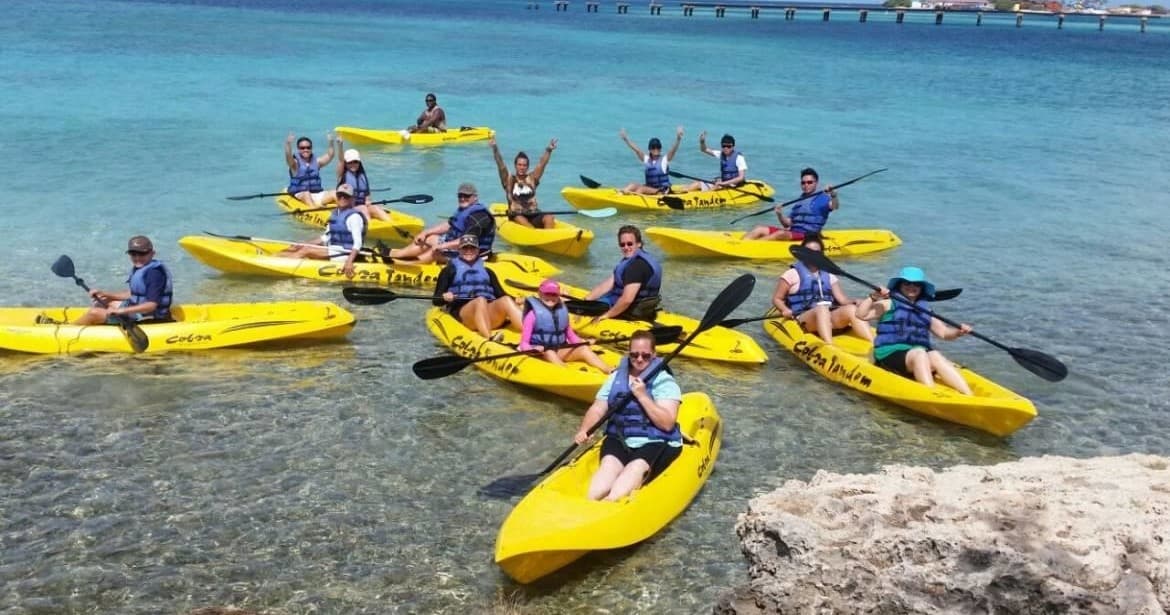 Kayak Tours