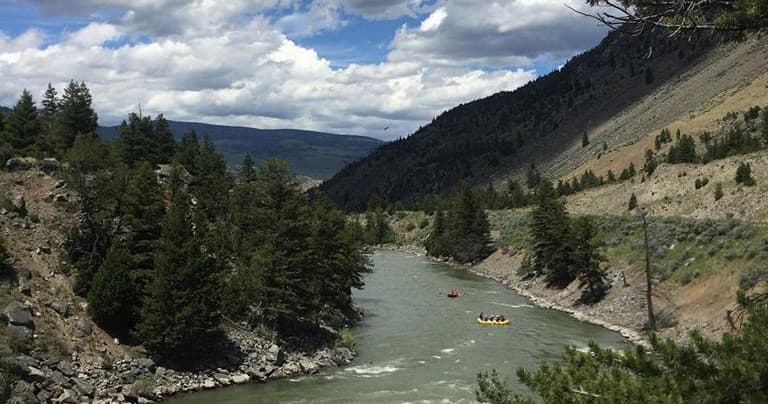 One Hour Saddle & 6 Mile Scenic Float (Paddle First)