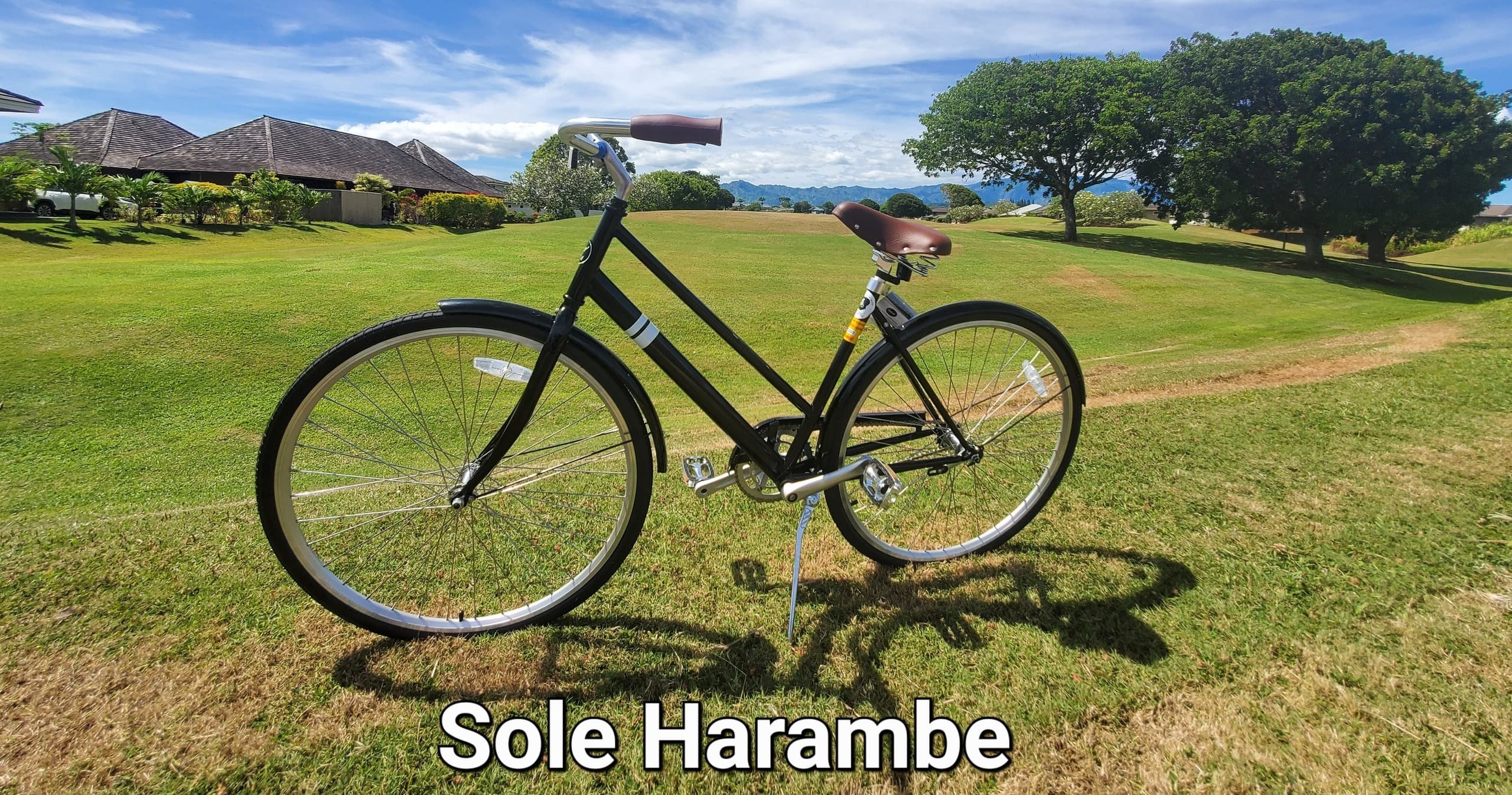 7-Day single-speed bike