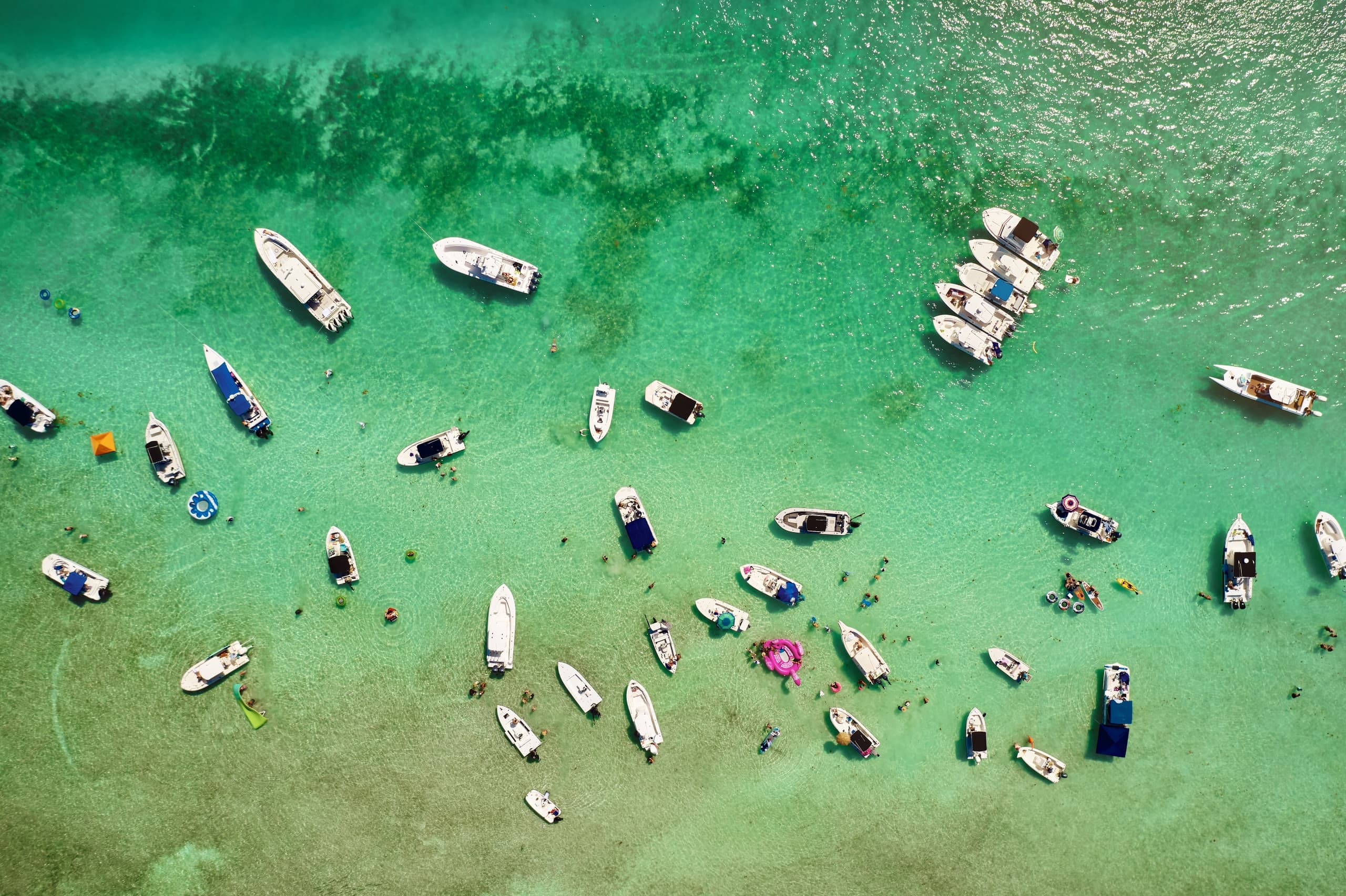 Sandbar Cruise
