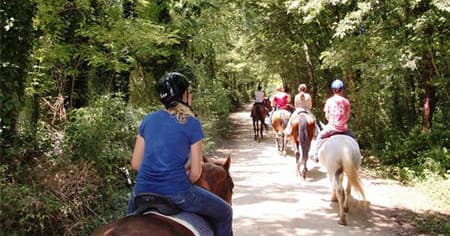 Horse Back Riding In Chianti With Siena And Monteriggioni
