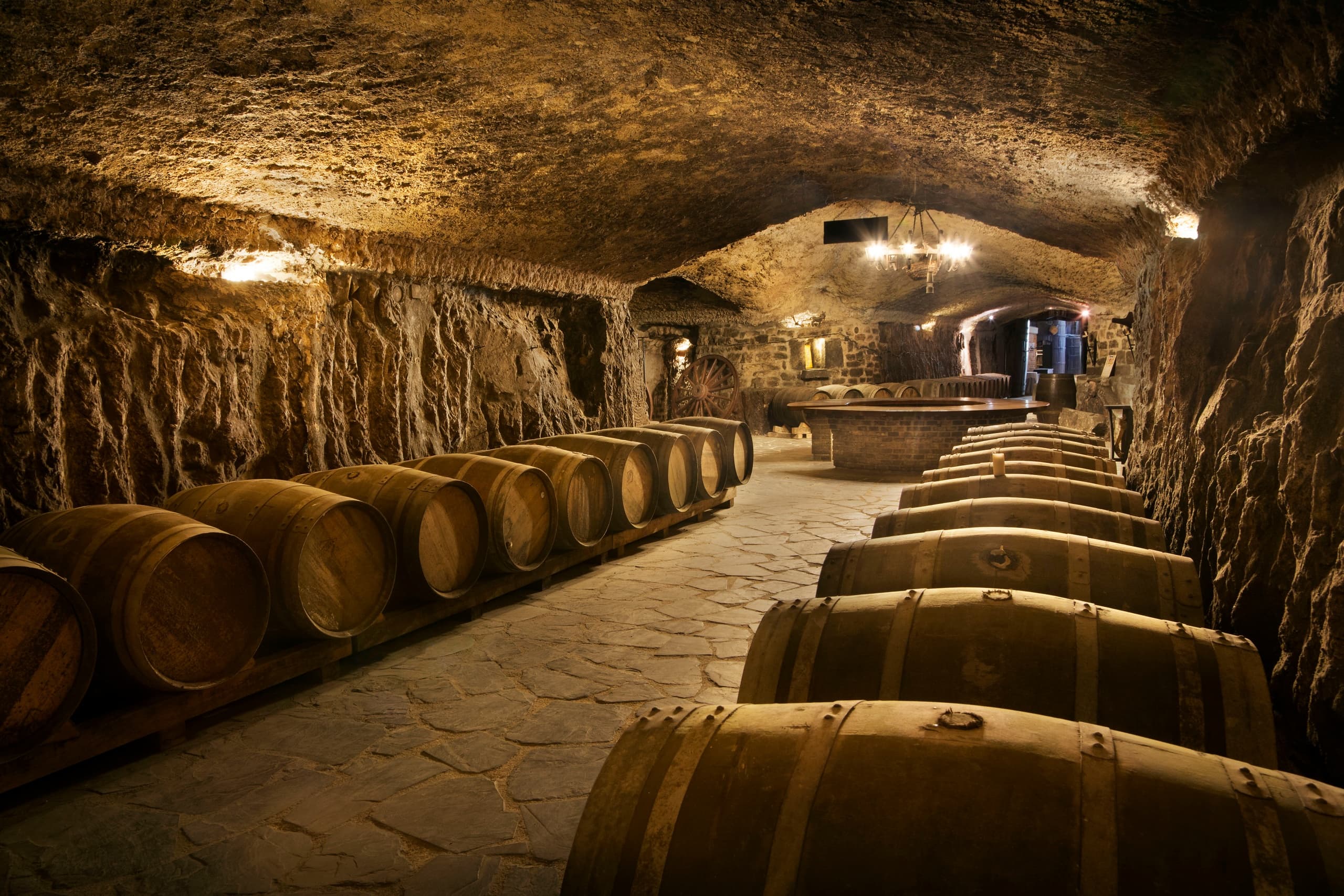 Tour privado de vinos Rioja: bodega y almuerzo tradicional desde San Sebastián