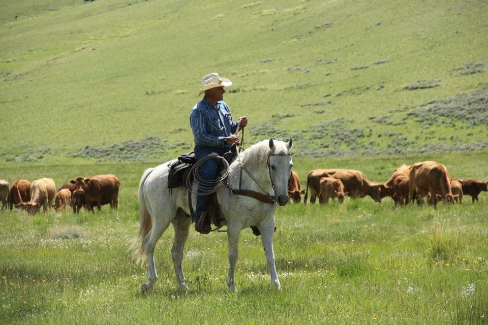 Flying Diamond 2 hr. Trail Ride