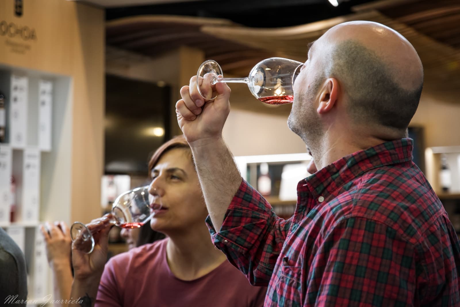 Tour de vinos: 2 bodegas desde Logroño
