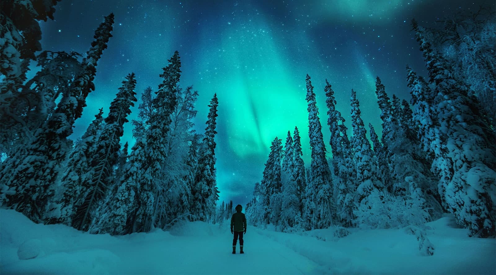 Transfer from Star Arctic Hotel to Ivalo airport