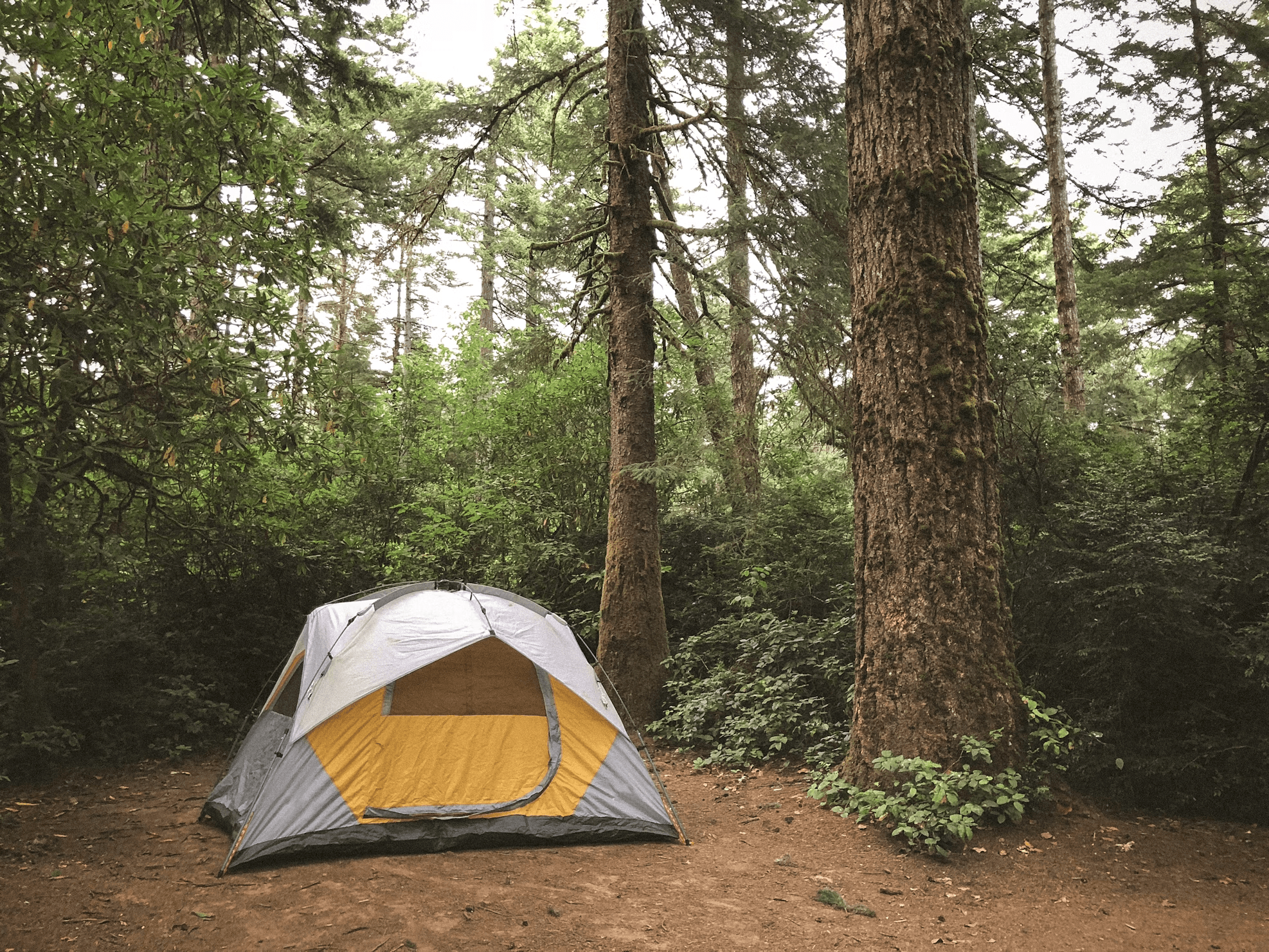 Tent Site 6