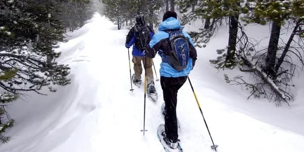 Tundra Tours; Winter Snowshoe Hike 2.0
