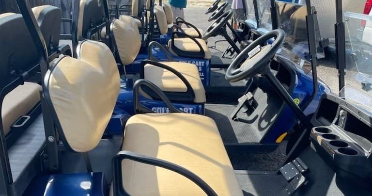 2-Day Golf Cart Rental