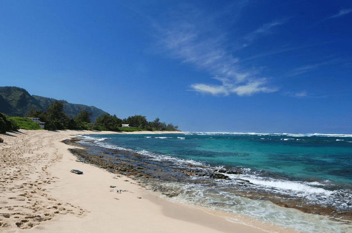 Half day North Shore Tour (Turtle Bay Pickup)