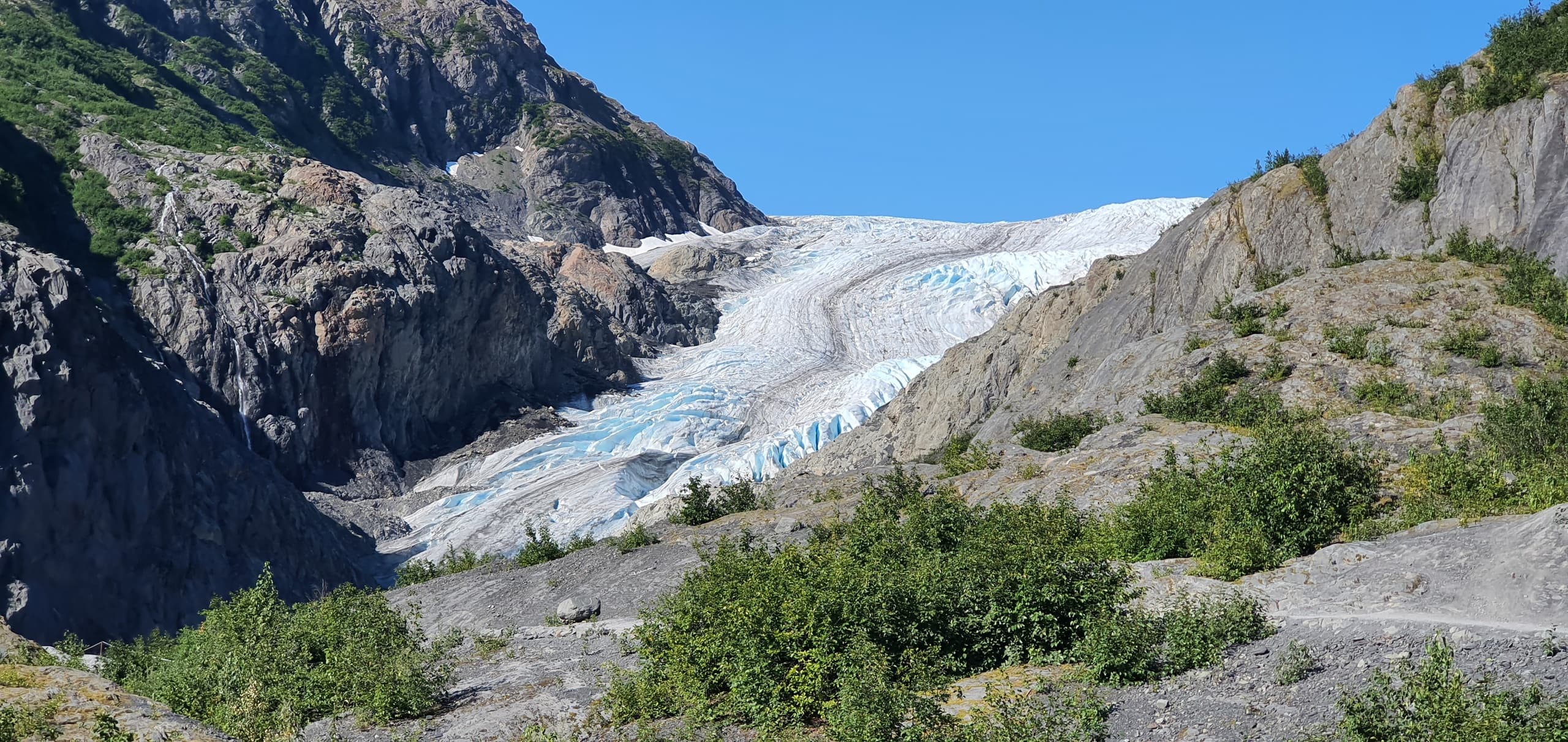 Exit Glacier Nature Hike