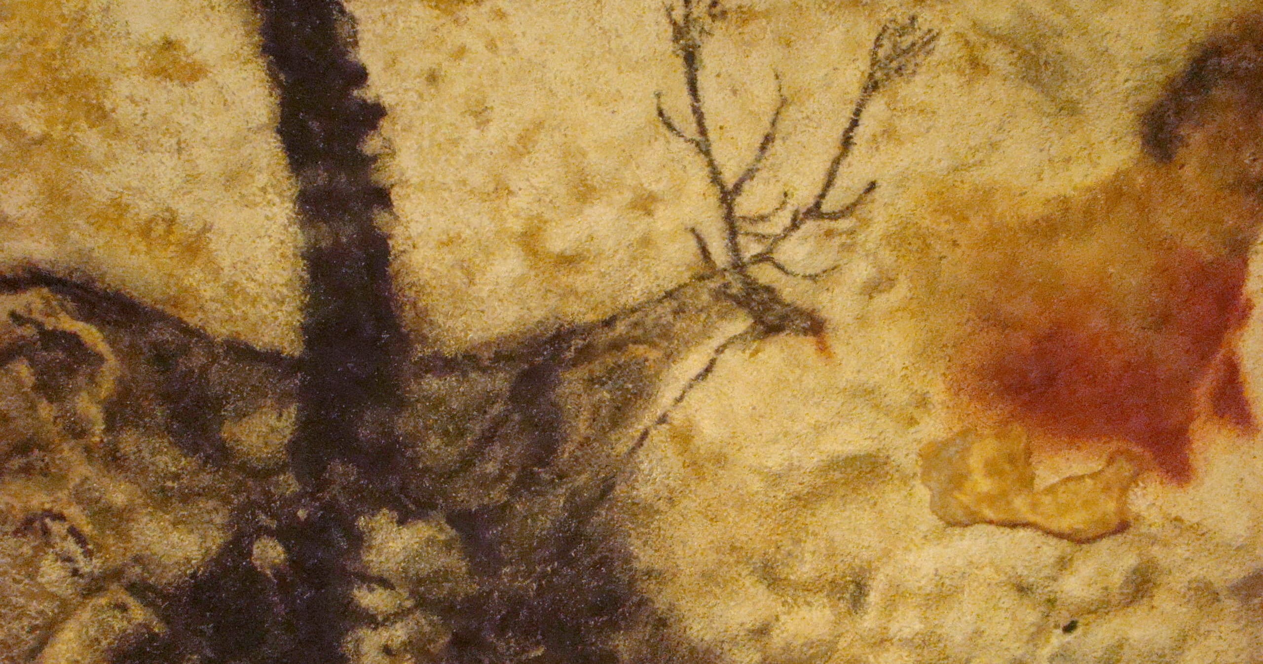 Bordeaux to Lascaux, private sightseeing tour to visit caves in Dordogne