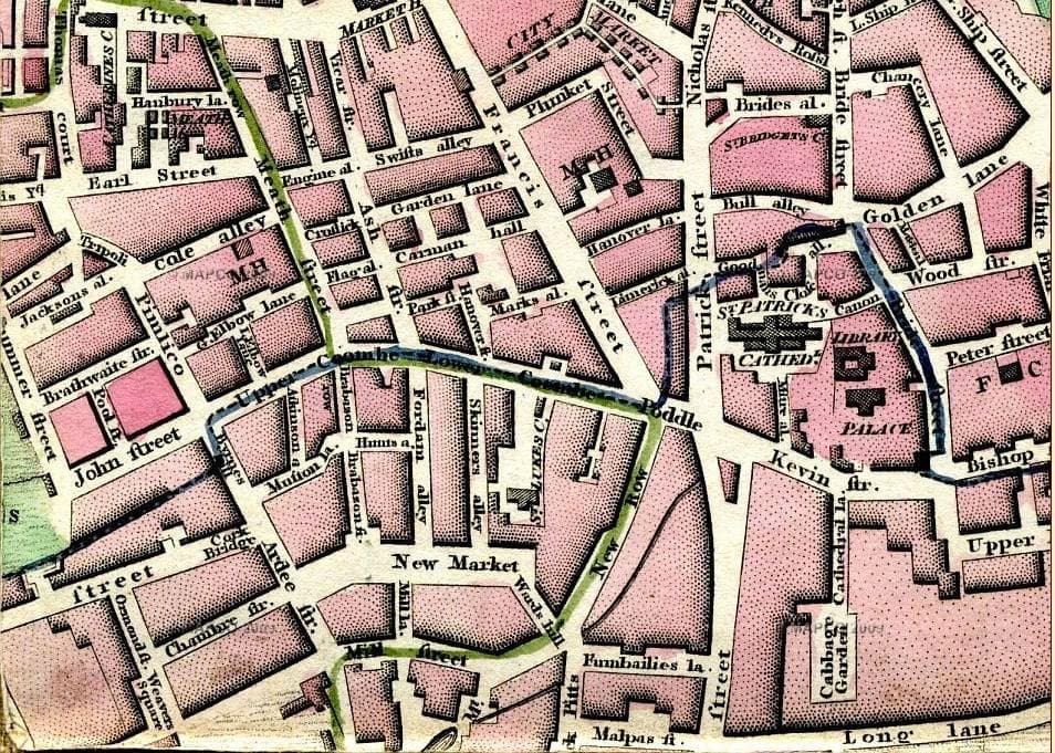 Patrick's Park to Blackpitts, Cork St, Newmarket & the Coombe